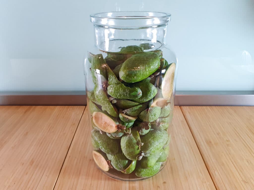 Large glass jar filled with feijoa skins.