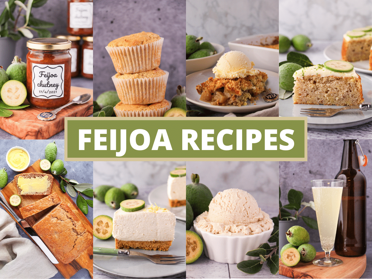 Collage of pictures of feijoa recipes, feijoa chutney, feijoa muffins, feijoa crumble, feijoa cake, feijoa loaf, feijoa cheesecake, feijoa ice cream and feijoa fizz, with text overlay, feijoa recipes.
