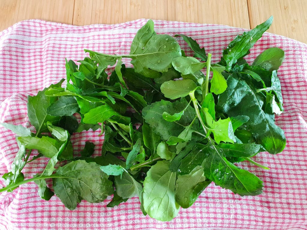 Drying washed rocket leaves with a tea towel.