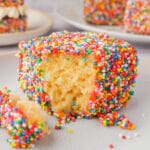 Close up rainbow lamington.
